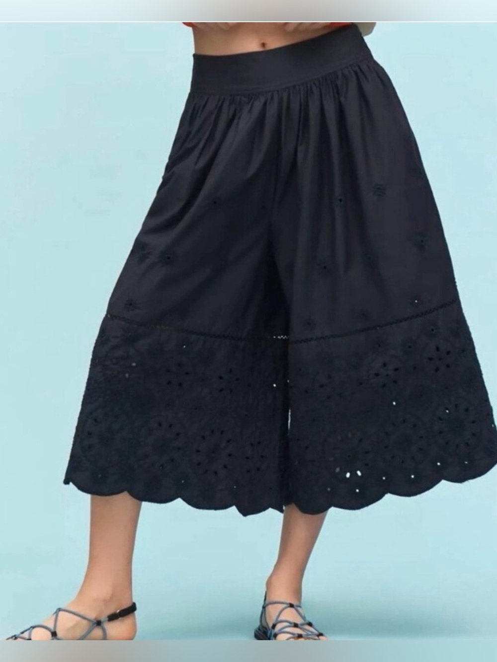 Maeve by Antropologie blue XS Skirty Embroidered Culotte Pants highwaistedNWT